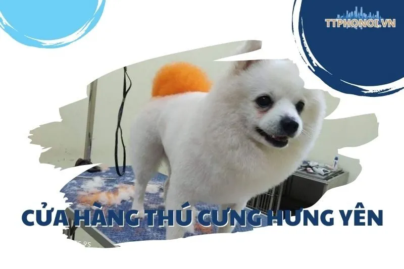 Khám phá 5 cửa hàng thú cưng Hưng Yên: Phụ kiện, Spa, và hơn nữa