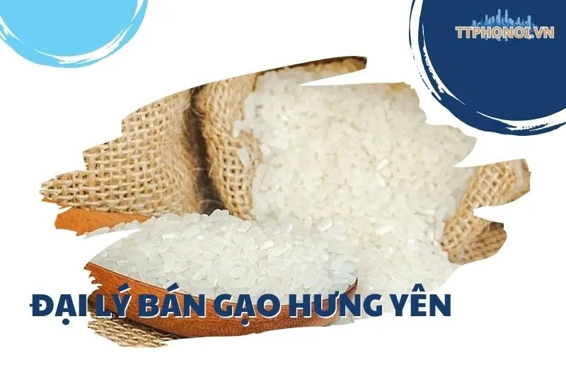 Top 5 Đại Lý Bán Gạo Hưng Yên Uy Tín, Đầy Đủ Thông Tin