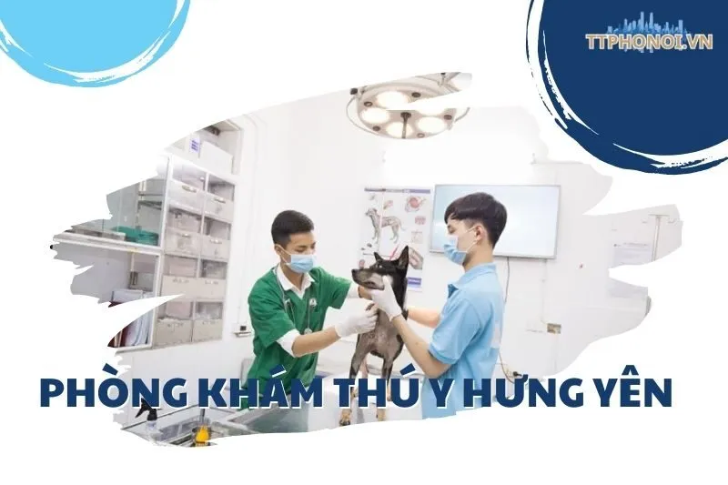 Top 8 Phòng Khám Thú Y Hưng Yên Uy Tín và Tận Tâm
