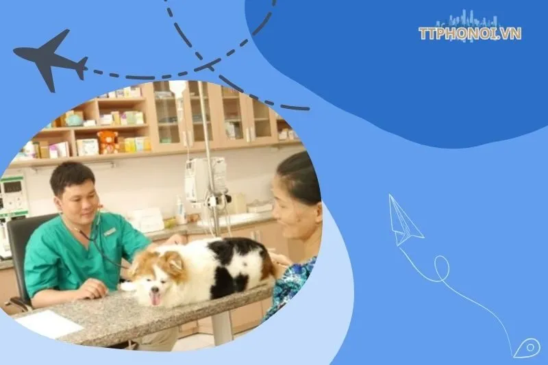 Phòng Khám Thú Y Key Pet