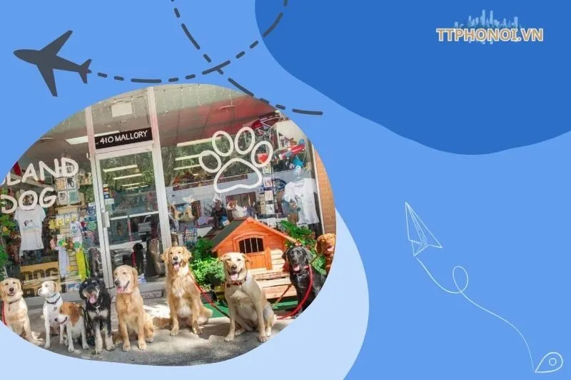 Top 5 cửa hàng thú cưng Hưng Yên đa dạng nhất