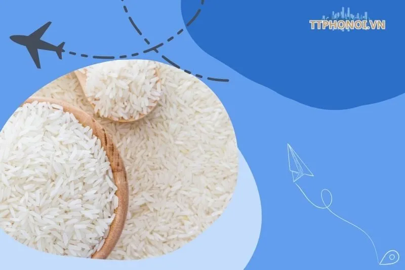 Top 5 Đại Lý Bán Gạo Hưng Yên Uy Tín và Ngon Nhất